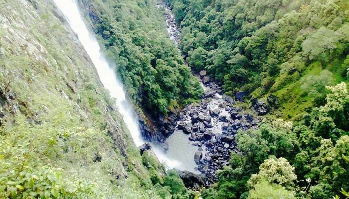 La vue incroyable de Ellenborough Falls