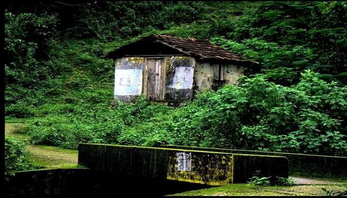 Book now to immerse yourself in the tranquillity of Bonacaud Bungalow. 