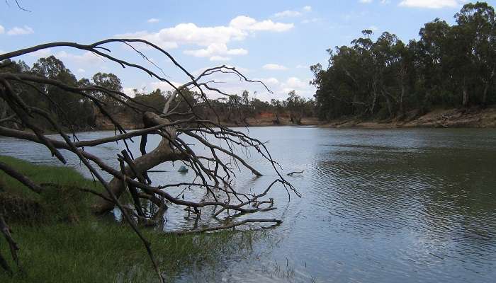 Murray River near Boundary Bend