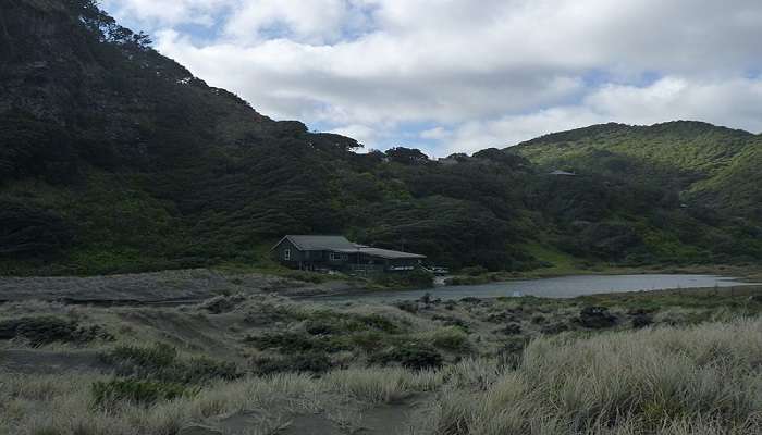 Hills, coast, and green in the ever-changing scenery of Karekare district.