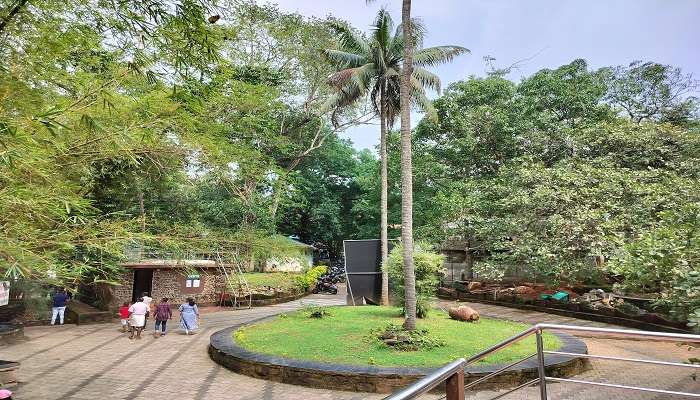 Ezhattumugham Prakriti Gramam near the Charpa Waterfalls. 