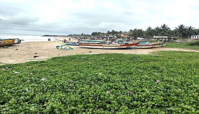 Boats lined up