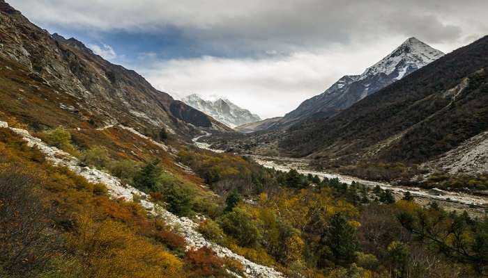 Aerial view of Gangotri National Park