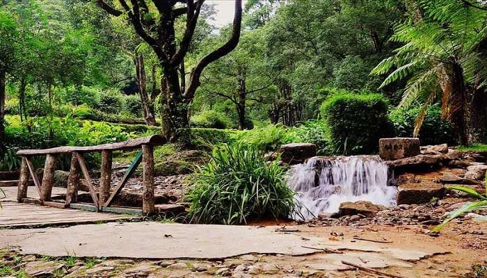  Godavari Botanical Garden 