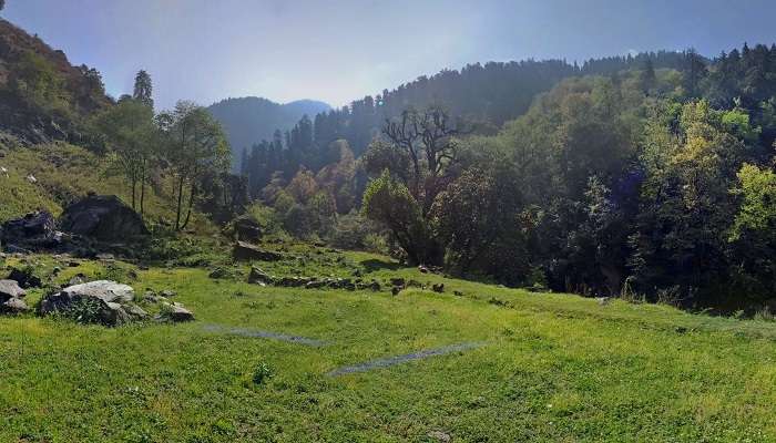 Scenic view of Great Himalayan National Park 