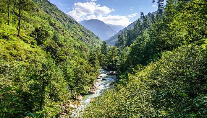 Lush green landscape of Great Himalayan National Park with snow-capped peaks in the background 