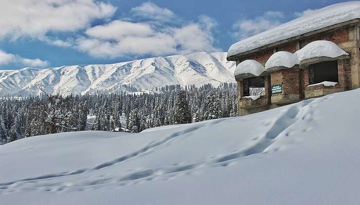 Gulmarg, snowfall kashmir