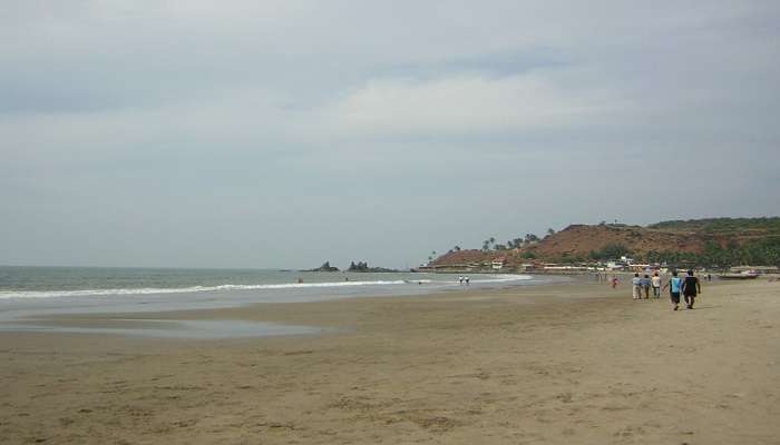 Calm view of Harmal Beach 