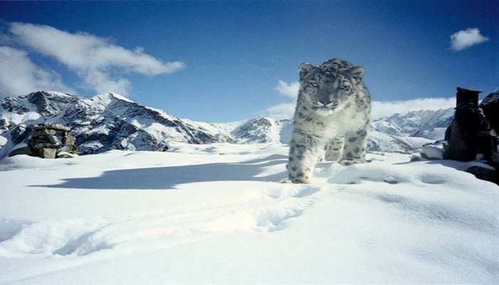 Hemis National Park