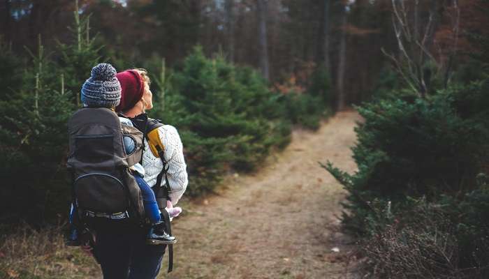 The mountain is embedded with various nature trails, both suitable for hikers and trekkers