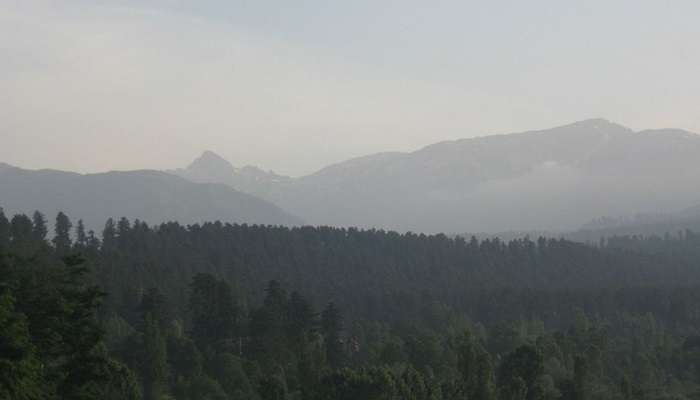 Lush green landscape of Hirpora Wildlife Sanctuary, Kashmir