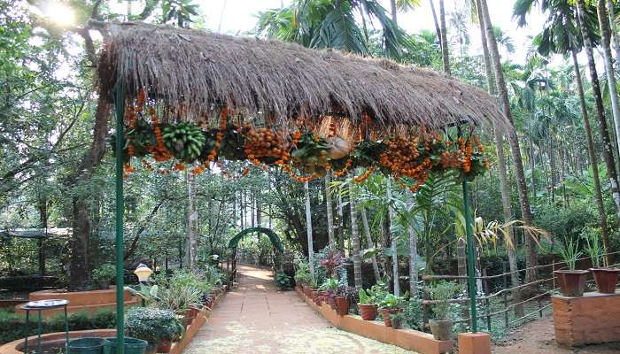 The spice farm is extremely pivotal in preserving traditional farming techniques