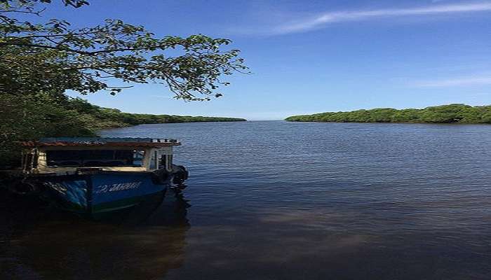 A picturesque view of the Koringa river in Kakinada