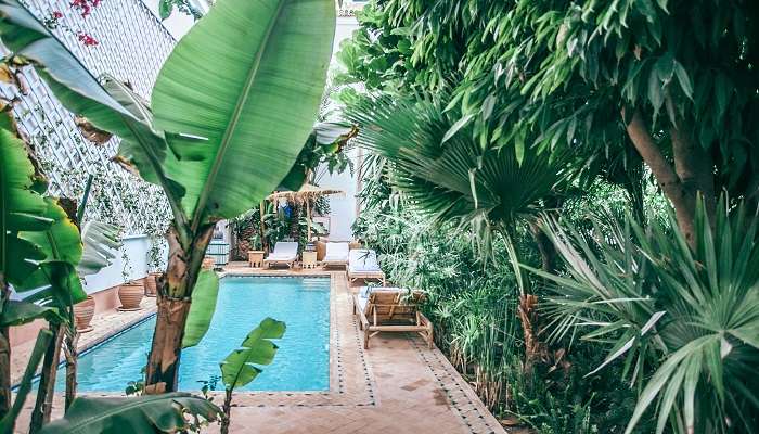 The exterior of hotel decorated with plants