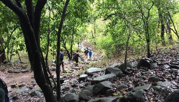 Karnala Bird Sanctuary