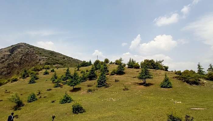 Karol Tibba near Bon Monastery.