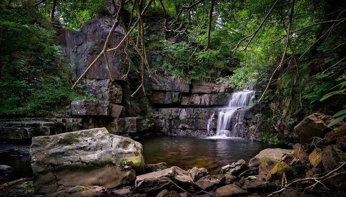 The answer to Kattikkayam Waterfalls' best time to visit depends on your convenience and planning