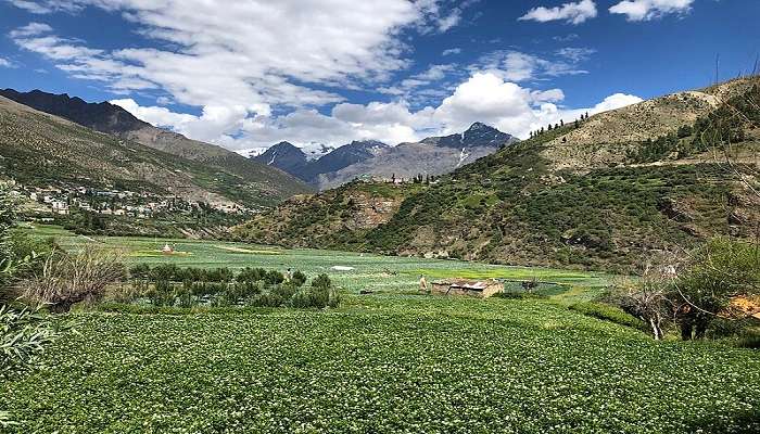 Keylong is the administrative centre of the Lahaul and Spiti district