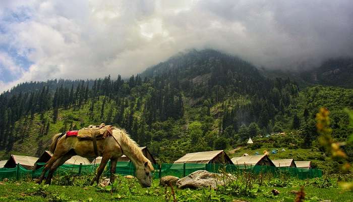 Another important spot for trekking is Kheerganga which is developed at an altitude of 2,960 meters.