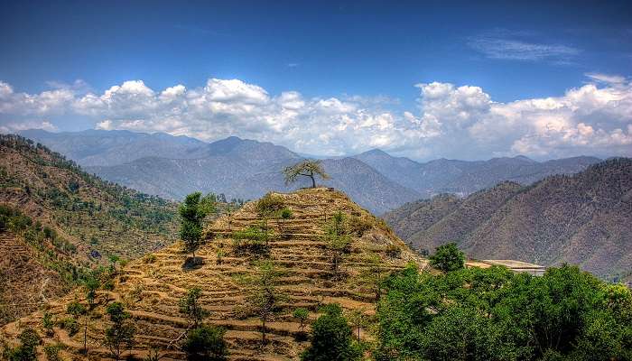 The aerial view of Khirsu in Uttrakhand. 