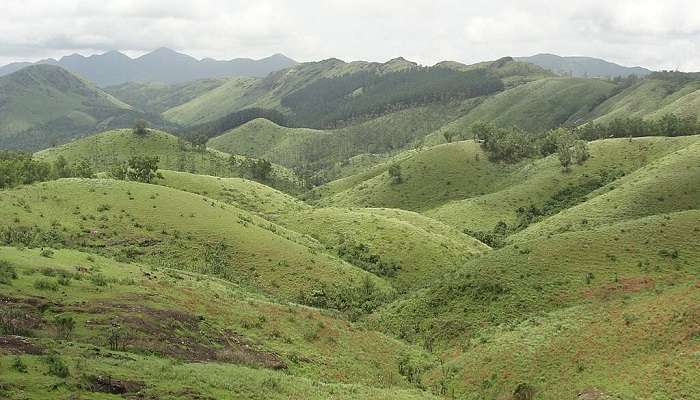 Kungwatan Area on Jammu and Kashmir Mountains