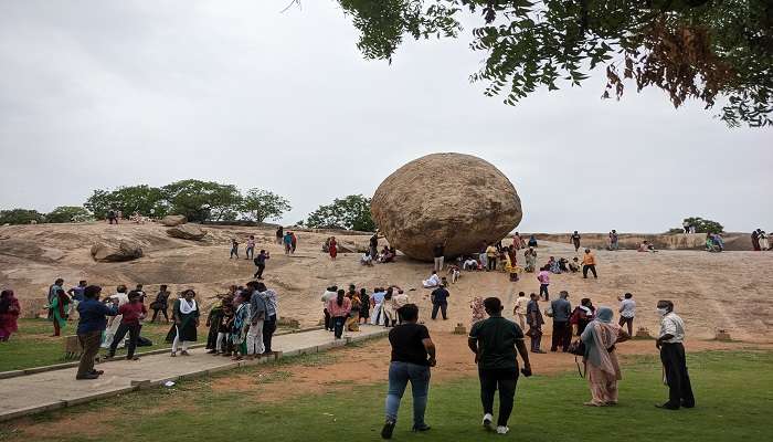  View Of Krishna Butterball from the South side 