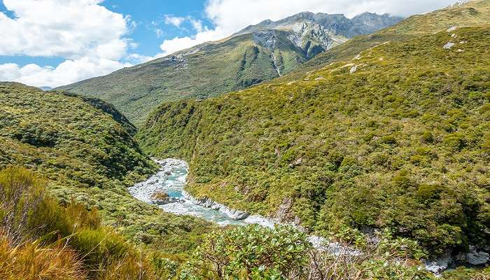 La Vue panaromique de rivière Arahura