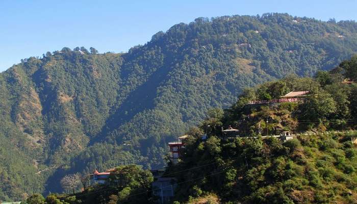 Explore lal tibba near the Benog Wildlife Sanctuary. 