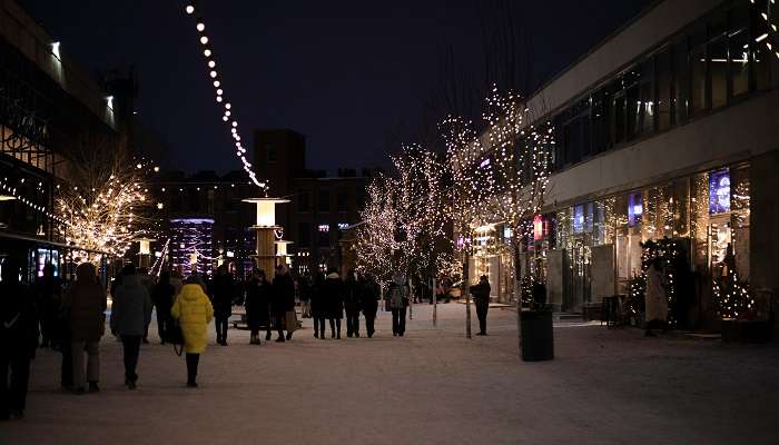 Les Vitrines de Noël: Éclaircissent les rues