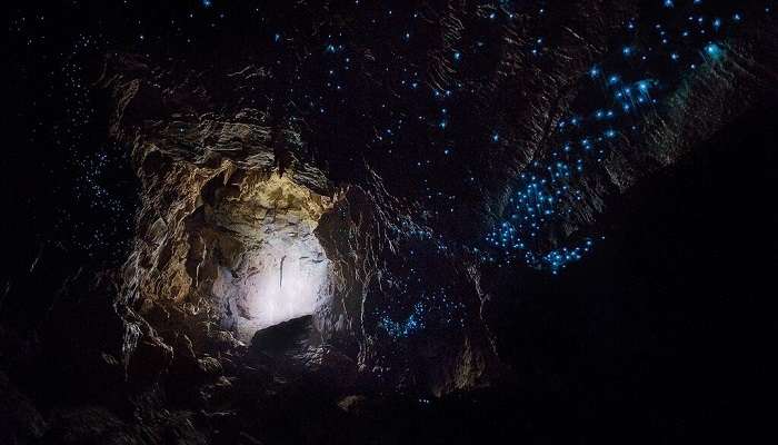 Les meilleures raisons de garder Waitomo Glowworm Caves dans votre liste de souhaits