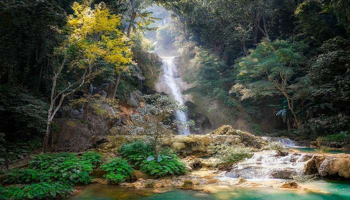 Location of Bhatta falls.