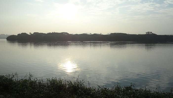 The natural water body in Madiwala