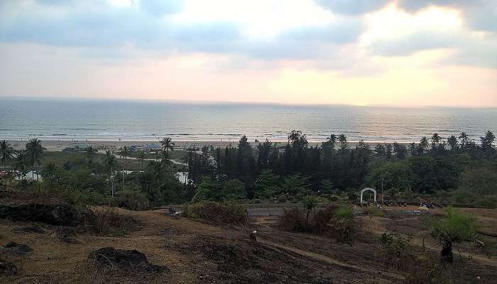 Lush green surroundings near Mandrem Beach