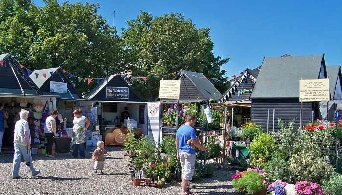 Explorez la Marché du port