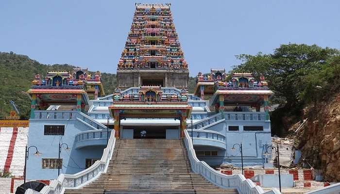 Captivating Marudhamalai temple.