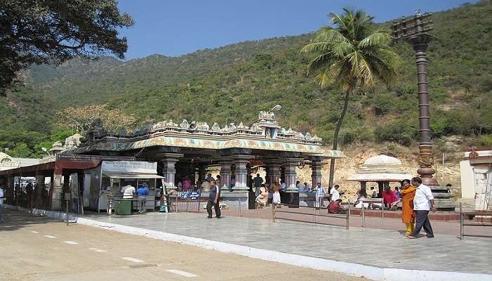  part of the Western Ghats near Coimbatore, Tamil Nadu, known for its scenic trekking routes, lush greenery, and diverse wildlife. 