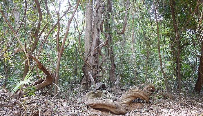 Entrance to the wildlife sanctuary