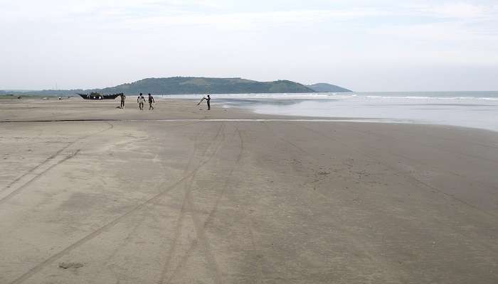 Clean sandy beach of Morjim Beach with palm trees and calm waters <div></div> 