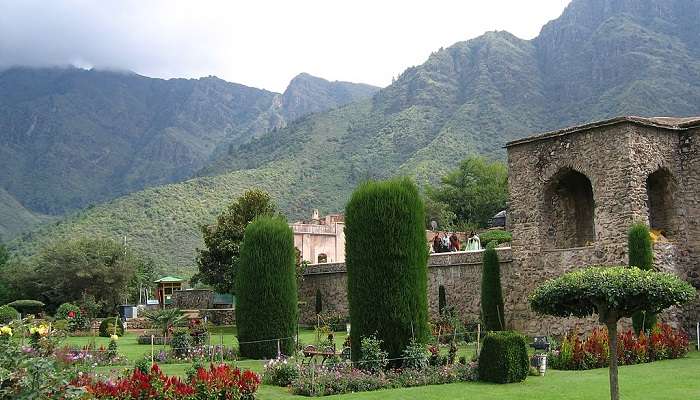 Mughal Gardens in Srinagar with beautifully manicured lawns and vibrant flower bed