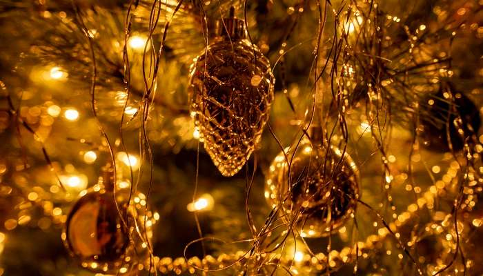 Mumbai – Voyez les sapins de Noël illuminés