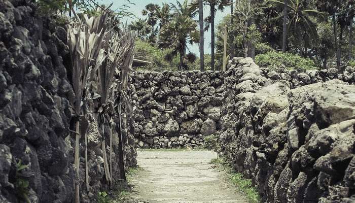 Giant footprint of a man at Delft Island Sri Lanka