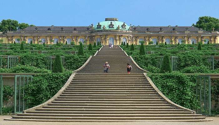 Apple trees in the Sanssouci Park