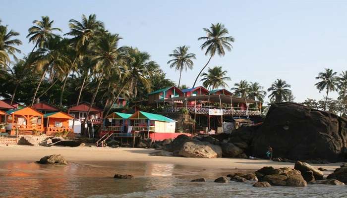 Palolem Beach with calm waters and coconut trees along the shore.