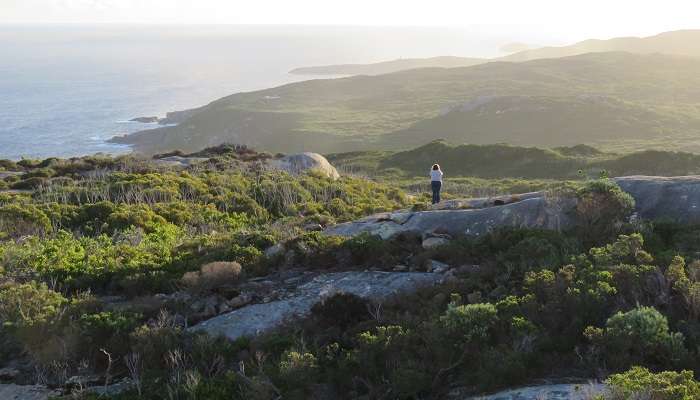 La vue magnifique de Parc national Torndirrup