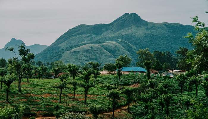 Patnitop