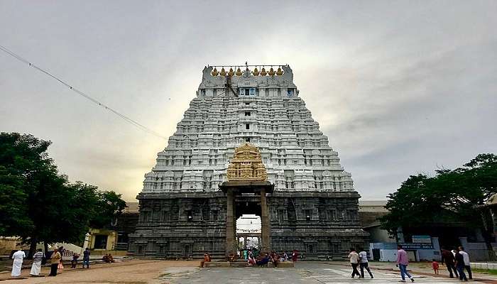 A revered Hindu temple featuring intricate carvings and a grand architectural design dedicated to Lord Vishnu.