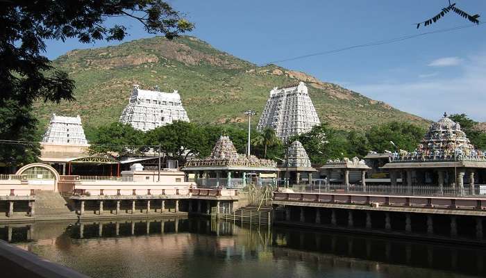  LAong with the crocodile Park you can visit to Mahabalipuram 