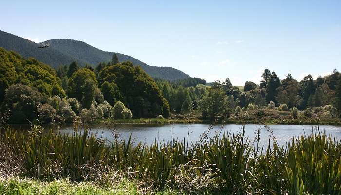 Principales attractions autour du lac Tarawera