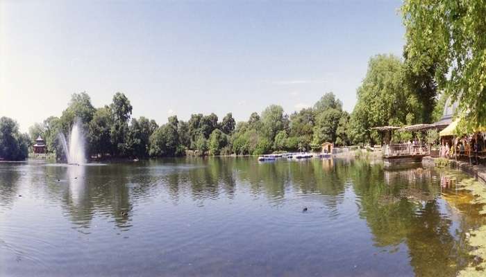 Faire le Promenade au lac Victoria Park