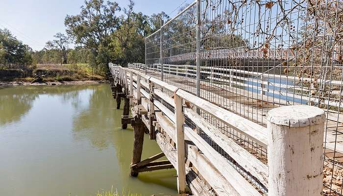 Promenade ou à vélo le long du ruisseau Wodonga